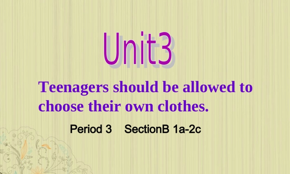 九年级英语上册 Unit 3(Teenages should be allowed to choose their own clothes)period 3课件 人教新目标版 课件