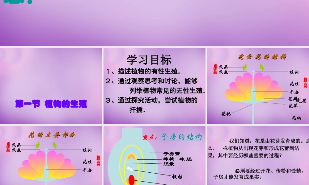 八年级生物下册 第七单元 第一章 第一节 植物的生殖课件 新人教版 课件