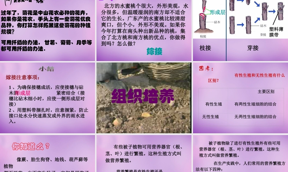 八年级生物下册 第七单元 第一章 第一节 植物的生殖课件 新人教版 课件