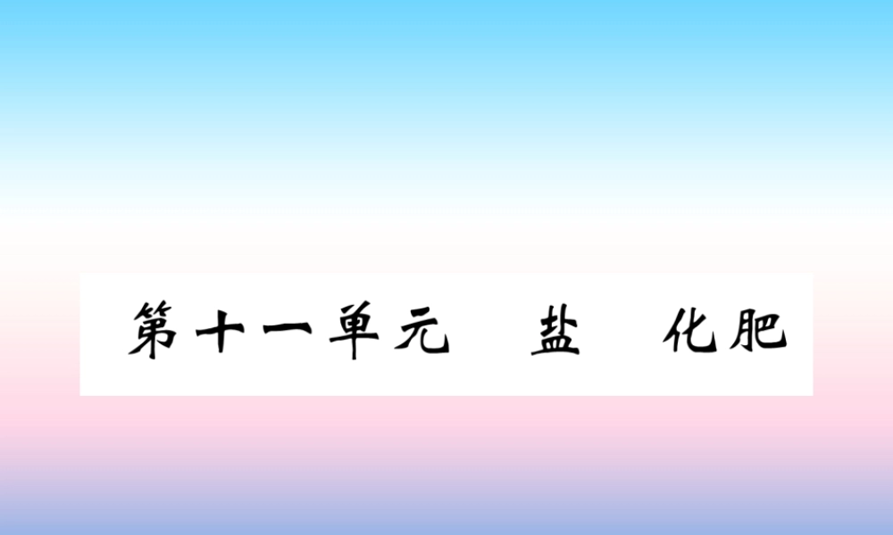中考化学复习 第1编 教材知识梳理篇 第11单元 盐 化肥(精练)课件