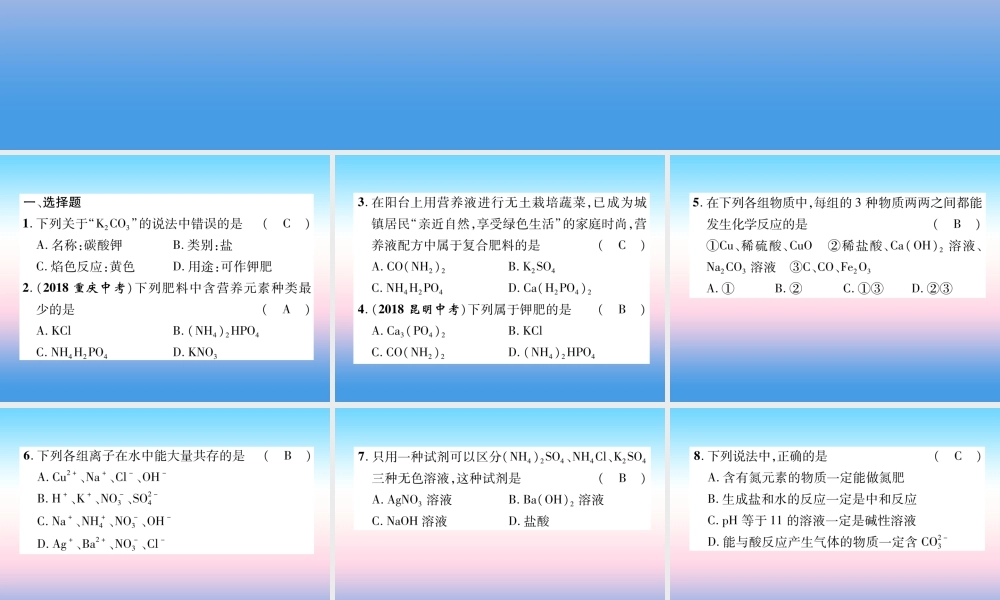 中考化学复习 第1编 教材知识梳理篇 第11单元 盐 化肥(精练)课件