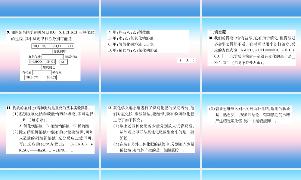 中考化学复习 第1编 教材知识梳理篇 第11单元 盐 化肥(精练)课件