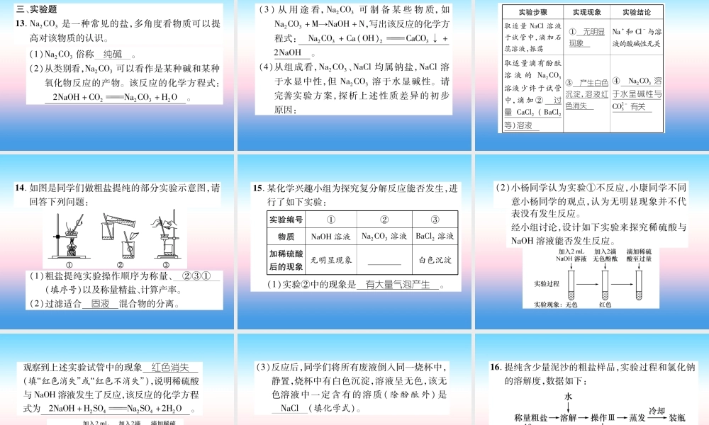 中考化学复习 第1编 教材知识梳理篇 第11单元 盐 化肥(精练)课件