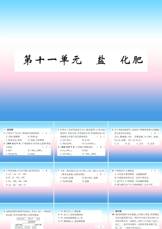 中考化学复习 第1编 教材知识梳理篇 第11单元 盐 化肥(精练)课件