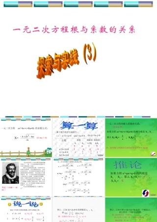 新课标中考数学复习课件 一元二次方程根与系数的关系 课件