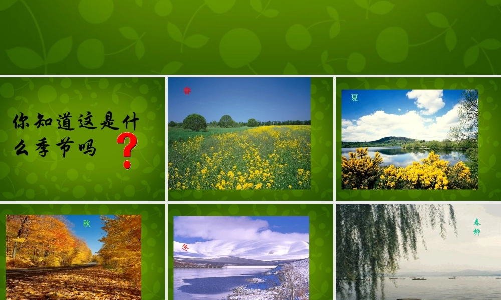 八年级语文上册 16 大自然的语言课件 新人教版 课件