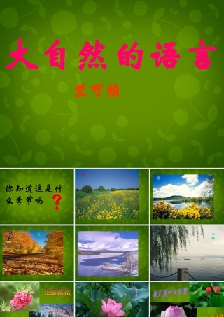 八年级语文上册 16 大自然的语言课件 新人教版 课件