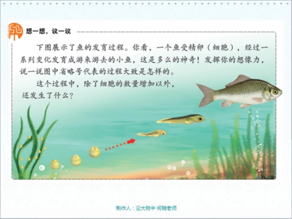 七年级生物上册 动物体的结构层次课件(pdf) 新人教版 课件_第3页