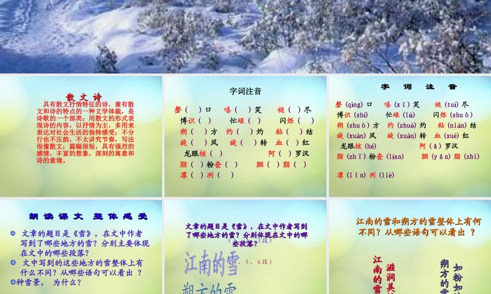 山东省东营市河口区实验学校八年级语文下册 6 雪课件 新人教版 课件