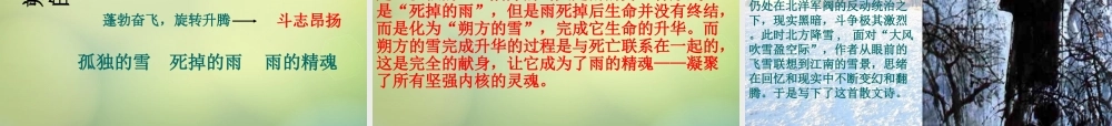 山东省东营市河口区实验学校八年级语文下册 6 雪课件 新人教版 课件