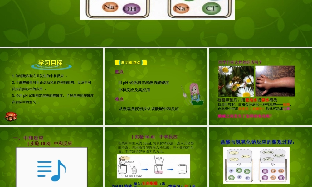中学九年级化学下册 第十单元 课题2 酸和碱的中和反应课件 (新版)新人教版 课件