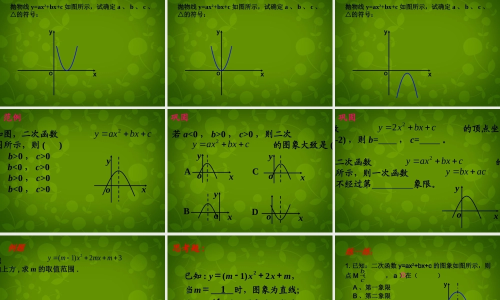 九年级数学下册 24 二次函数yax2bxc的图象课件4 北师大版 课件