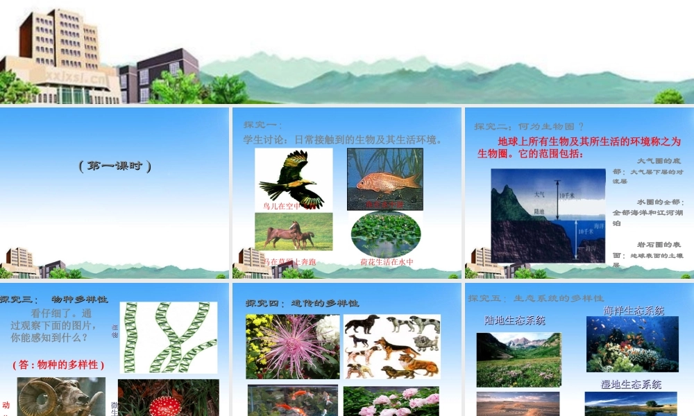 七年级生物上册 1.1形形色色的生物课件 北师大版 课件