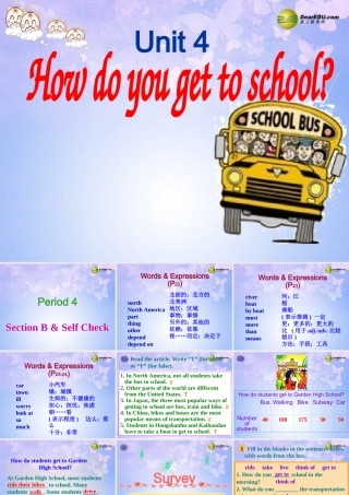 八年级英语上册(Unit 4 How do you get to school Section A-P4)课件 人教新目标版 课件