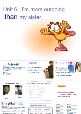 八年级英语Unit6 I am more outgoing than my sister Section A 3ppt 课件
