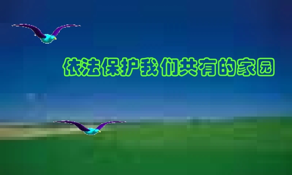 八年级政治下册 第六单元第13课(依法保护人类共有的家园)课件 鲁教版 课件