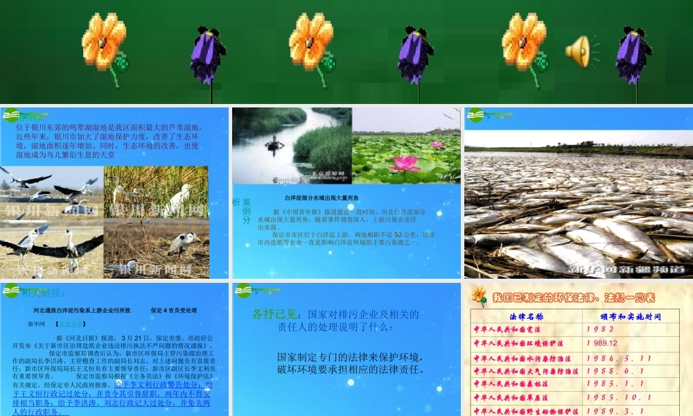 八年级政治下册 第六单元第13课(依法保护人类共有的家园)课件 鲁教版 课件