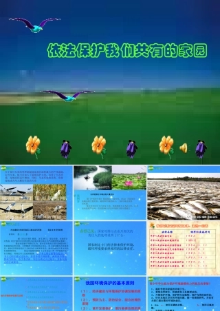 八年级政治下册 第六单元第13课(依法保护人类共有的家园)课件 鲁教版 课件