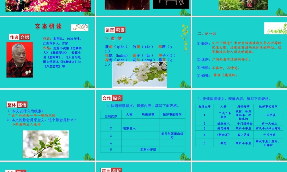 七年级语文下册 第四单元 14 驿路梨花课件 新人教版 课件