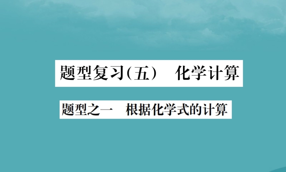 广西中考化学 中考6大题型轻松搞定 题型复习(五)题型之一 根据化学式的计算课件