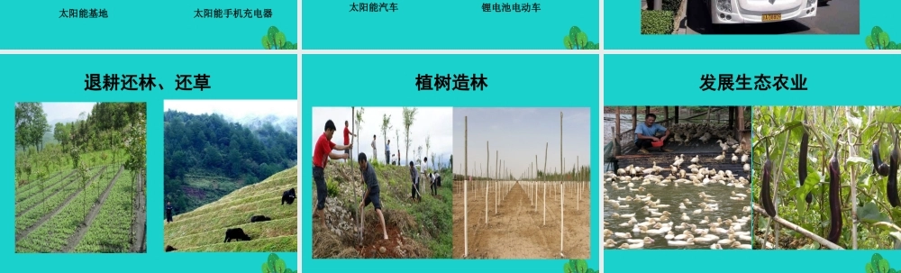 七年级生物上册 第一章 第二节 认识我们身边的其他生物 保护生物圈课件 (新版)北京版 课件