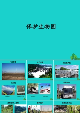 七年级生物上册 第一章 第二节 认识我们身边的其他生物 保护生物圈课件 (新版)北京版 课件