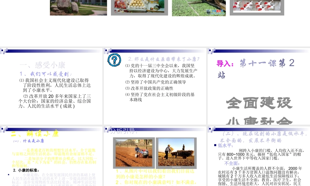 九年级政治 第十一课(展望祖国未来)第二站课件 北师大版 课件