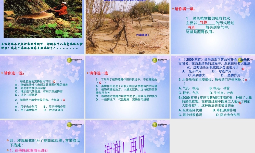 八年级生物上册(绿色植物与生物圈中的水循环)课件 苏科版 课件