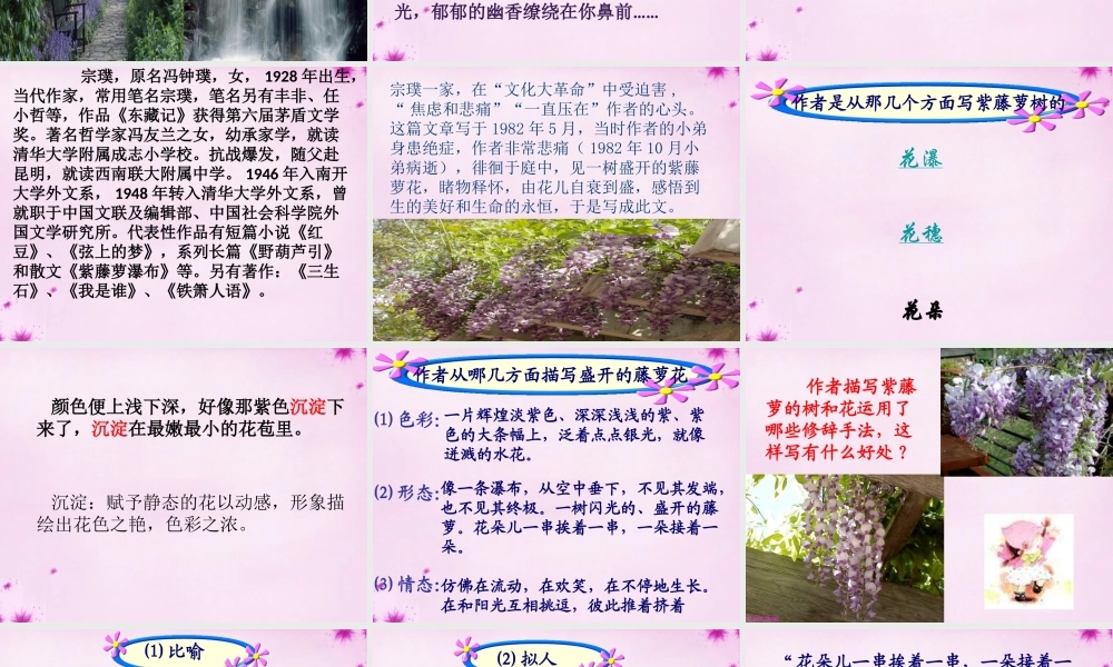 七年级语文上册 16 紫藤萝瀑布课件3 (新版)新人教版 课件