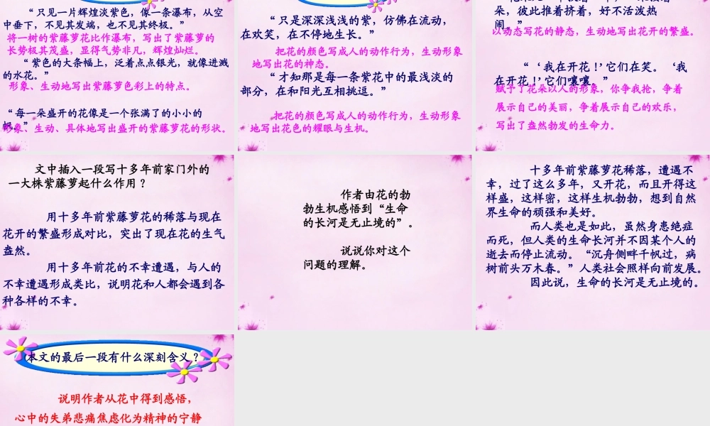 七年级语文上册 16 紫藤萝瀑布课件3 (新版)新人教版 课件