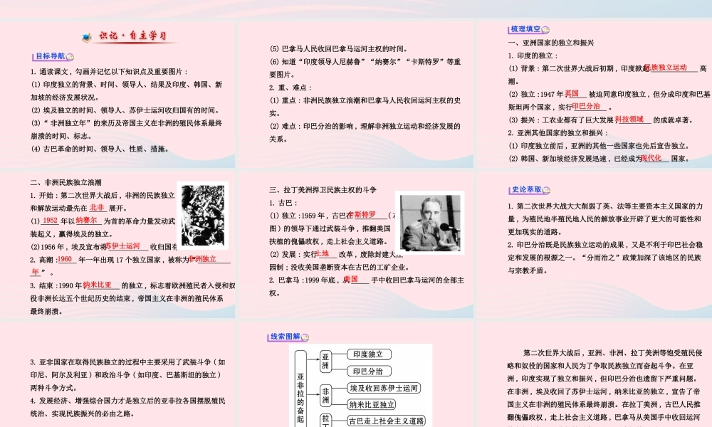九年级历史下册 第六单元 亚非拉国家的独立和振兴 第12课 亚非拉的奋起习题课件 新人教版 课件