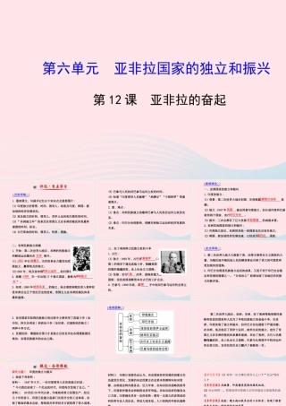 九年级历史下册 第六单元 亚非拉国家的独立和振兴 第12课 亚非拉的奋起习题课件 新人教版 课件