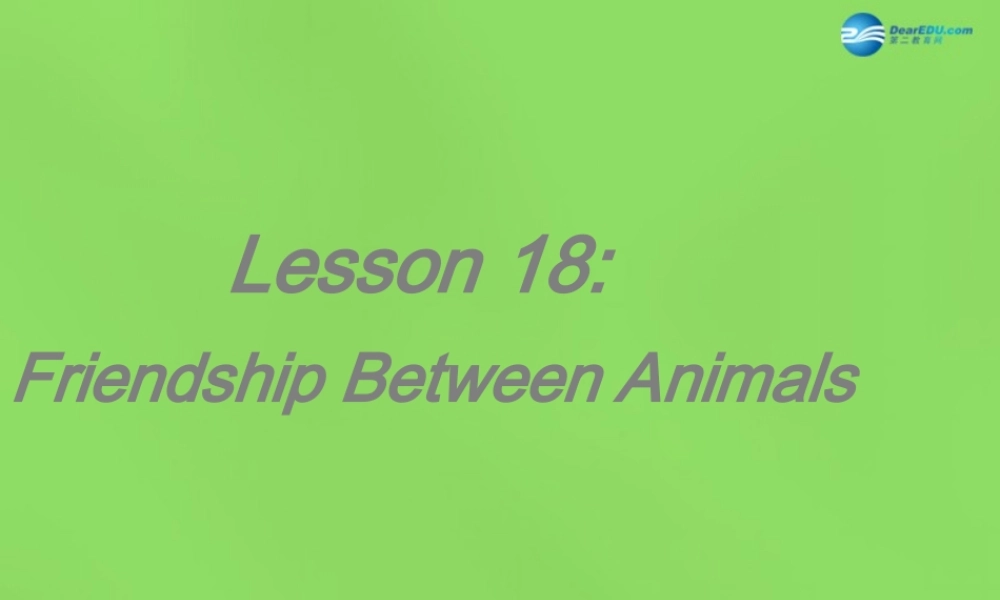 八年级英语下册 Unit 3 lesson 18 Friendship Between Animals课件 (新版)冀教版 课件