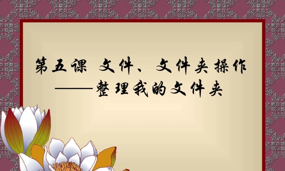 初中信息技术[上学期]文件夹的操作课件