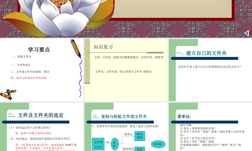 初中信息技术[上学期]文件夹的操作课件