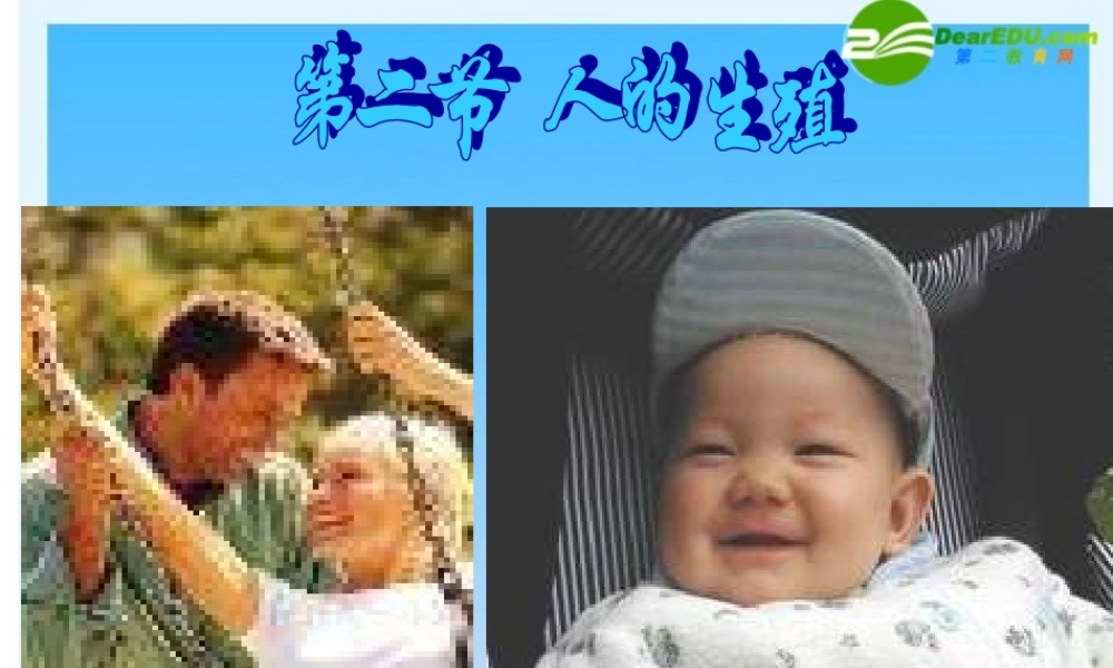 七年级生物下册 人的生殖课件 人教新课标版 课件