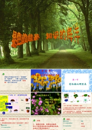 七年级生物上：第5章第1节 有机物从哪里来 课件苏科版 课件