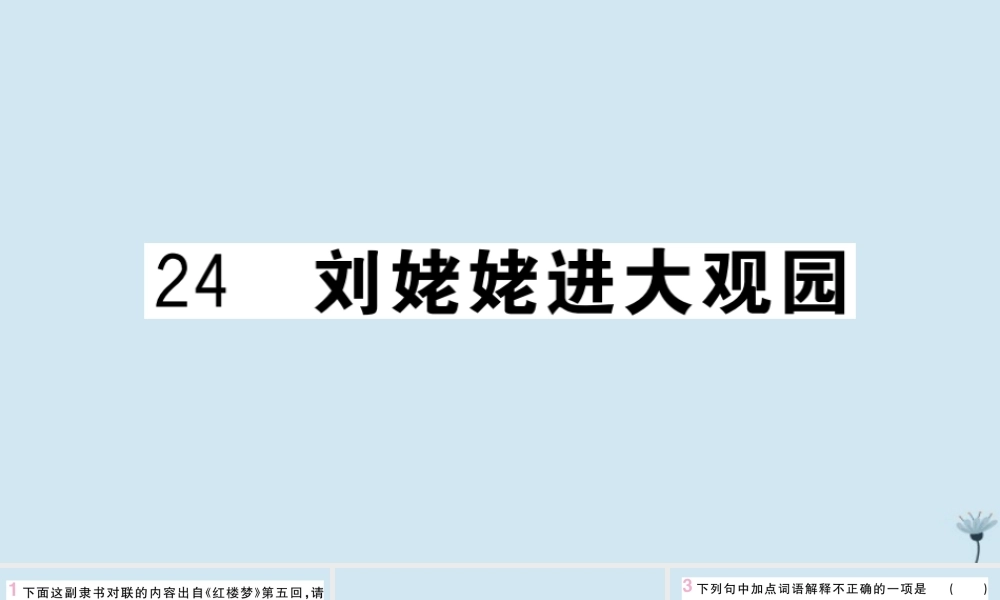 九年级语文上册 第六单元 24 刘姥姥进大观园作业课件 新人教版 课件