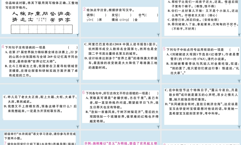 九年级语文上册 第六单元 24 刘姥姥进大观园作业课件 新人教版 课件