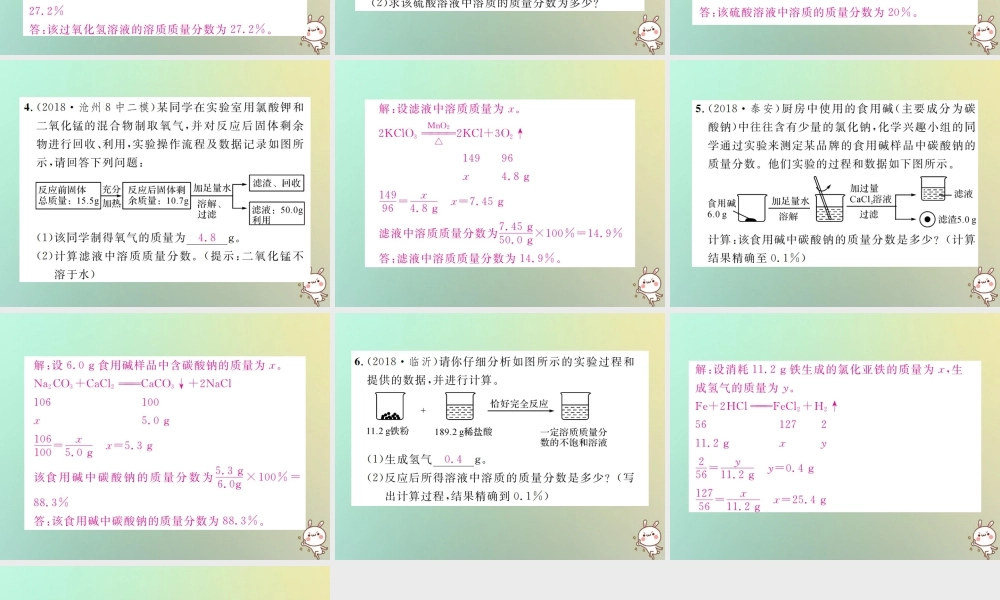 中考化学复习 题型复习(五)计算应用题 题型之二 实物操作图型课件