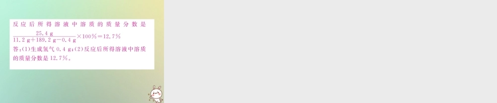 中考化学复习 题型复习(五)计算应用题 题型之二 实物操作图型课件