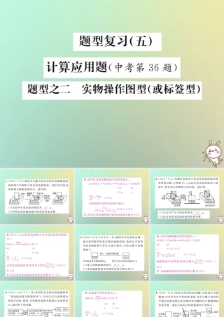 中考化学复习 题型复习(五)计算应用题 题型之二 实物操作图型课件