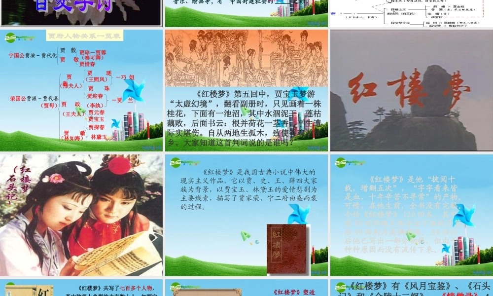 九年级语文上册(香菱学诗)优秀课件(116页) 人教新课标版 课件