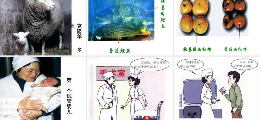 七年级生物：第1章第三节 我们身边的生物学 课件苏教版 课件