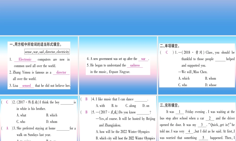 九年级英语全册 寒假作业 Unit 9 It like music that I can dance to课堂导练课件(含中考真题)(新版)人教新目标版 课件