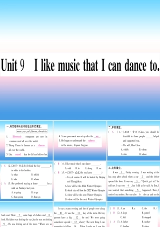 九年级英语全册 寒假作业 Unit 9 It like music that I can dance to课堂导练课件(含中考真题)(新版)人教新目标版 课件