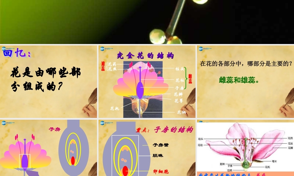 八年级生物下册 7.1.1 植物的生殖课件 新人教版 课件