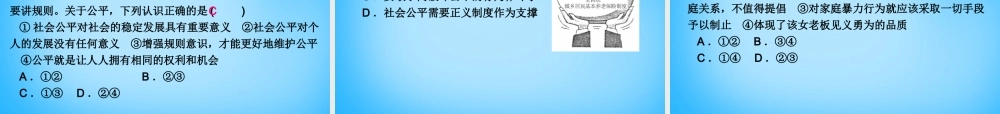 八年级政治下册 第四单元 我们崇尚公平和正义复习课件 新人教版 课件