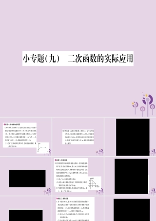 九年级数学上册 第二十二章 二次函数 223 实际问题与二次函数 小专题(九)二次函数的实际应用作业课件 (新版)新人教版 课件