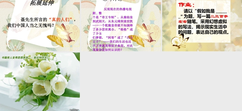 我若为王 新课标 人教版 课件